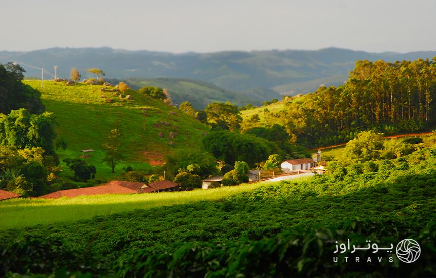 coffee farms in brazil